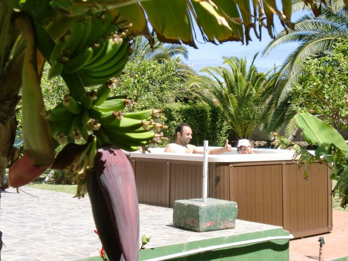 Finca La Gaviota - Los Limoneros Икод-де-лос-Винос Экстерьер фото